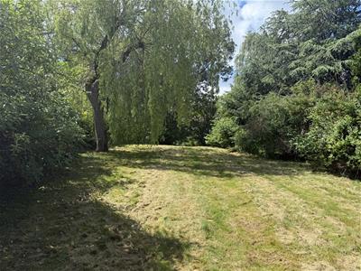 Picture 18